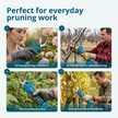 Promotional Pruning Kit KS MCS-CSP-SET thumbnail